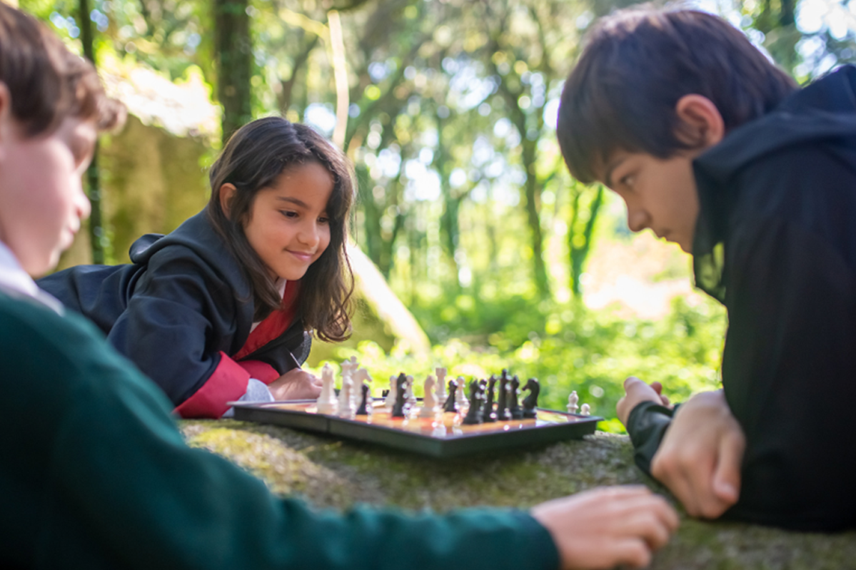 Scacchi per tutti, Gioco libero e scacchiera gigante