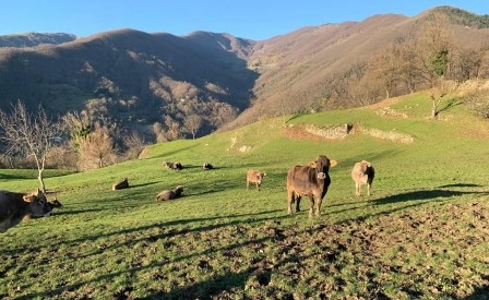 La farfalla e l'uragano: una sfida quotidiana - La complessità sembra facile a farsi