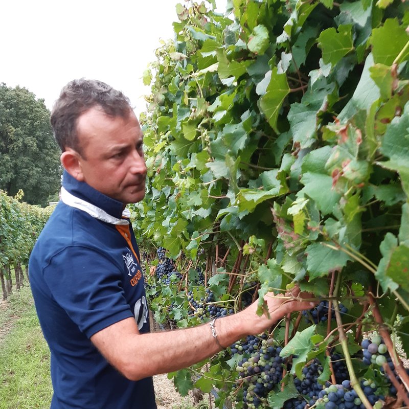 Marco Gorni Silvestrini