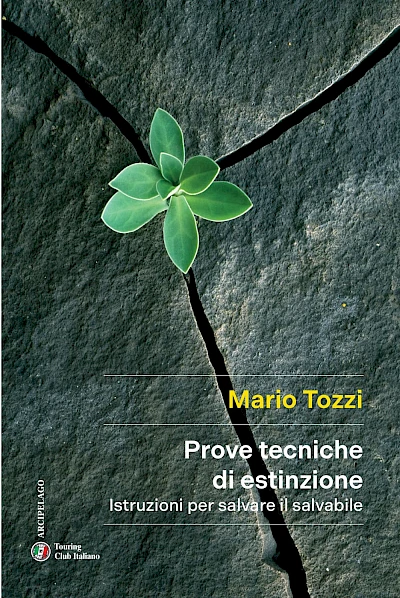 Prove tecniche di estinzione. Istruzioni per salvare il salvabile