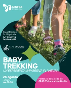 Baby Trekking