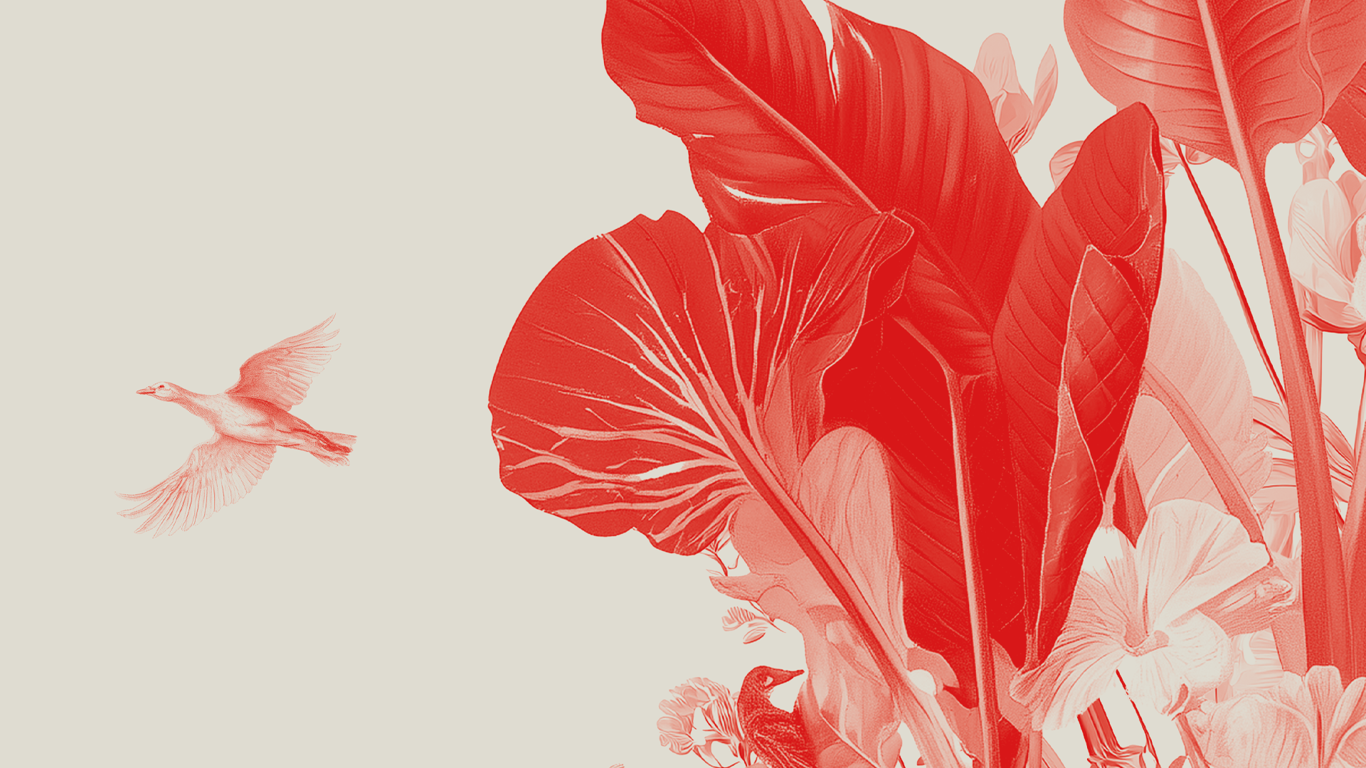 Dante in Corsica (Éditions Albiana)