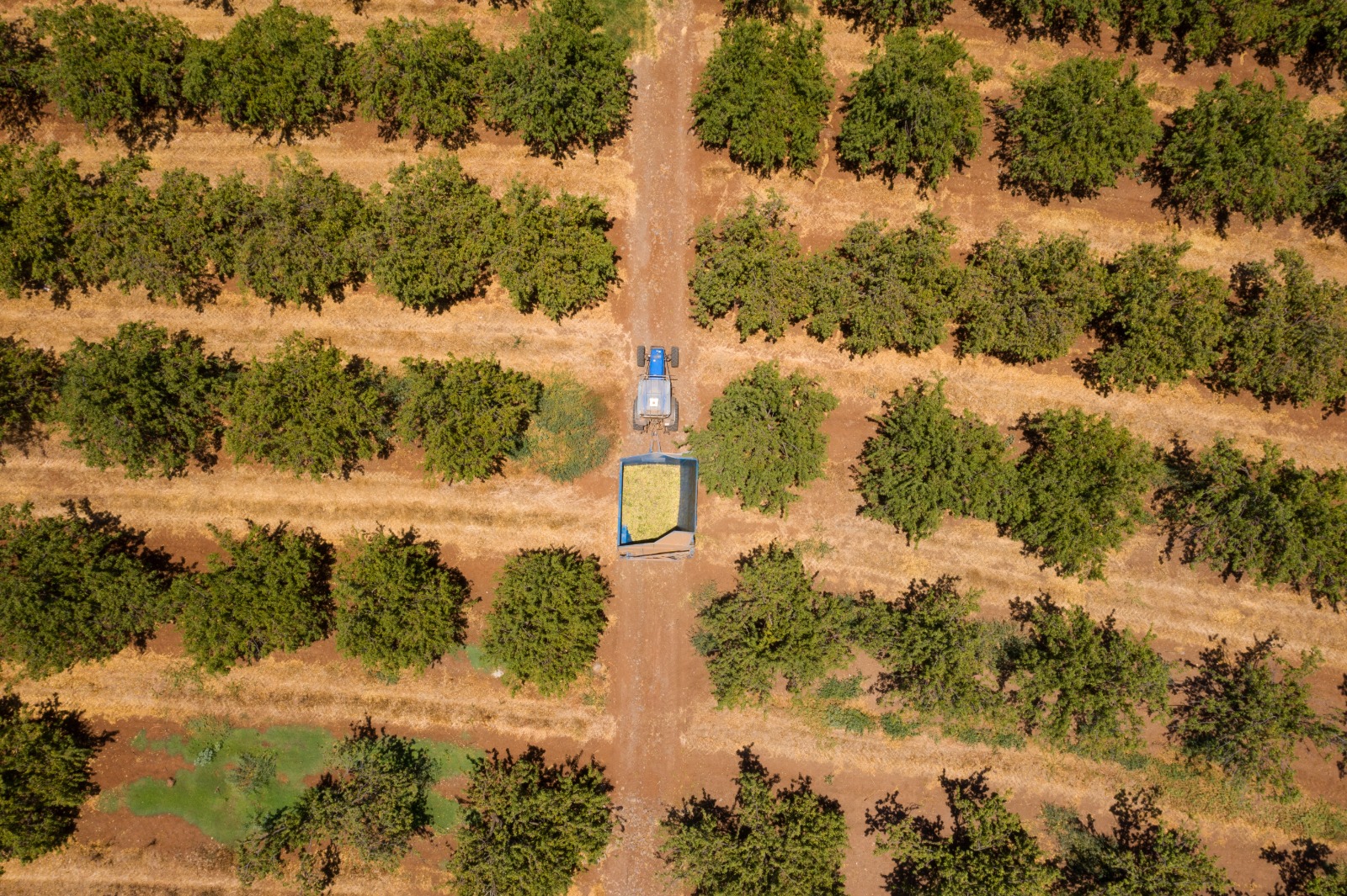 Clima, comunicazione e giornalismo