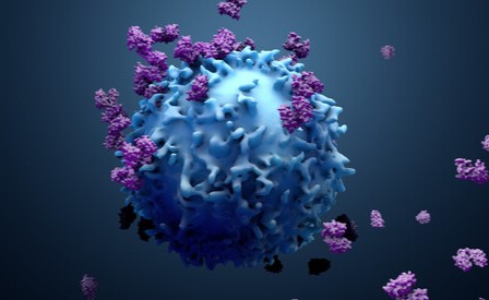 Capire il cancro per sconfiggerlo - Cosa ci dice la ricerca