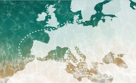 Mafie e porti in Italia - Una lunga e triste storia di intrecci