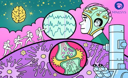 Missione cervello - Sette laboratori per scoprire le neuroscienze