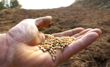 Tutto s'intreccia - L'unione fa natura