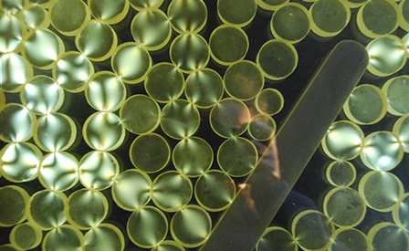 Visita straordinaria a Semplice e Complesso - Una guida unica per un'occasione eccezionale