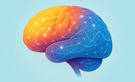 What's in our brain? - La meraviglia del cervello umano