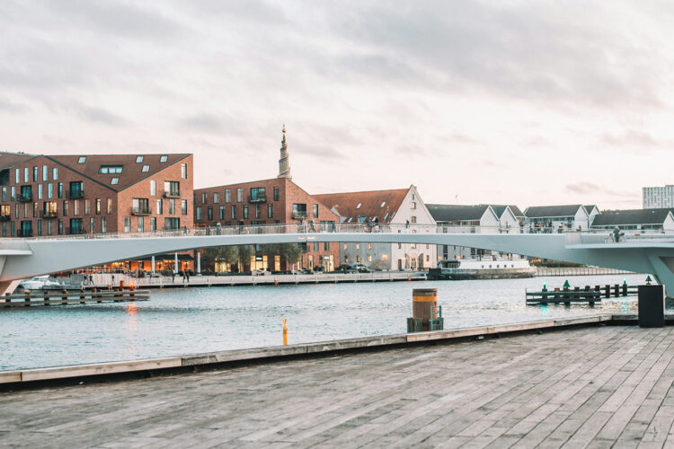 Mito e realtà del modello danese: uno sguardo sul paese più felice del mondo