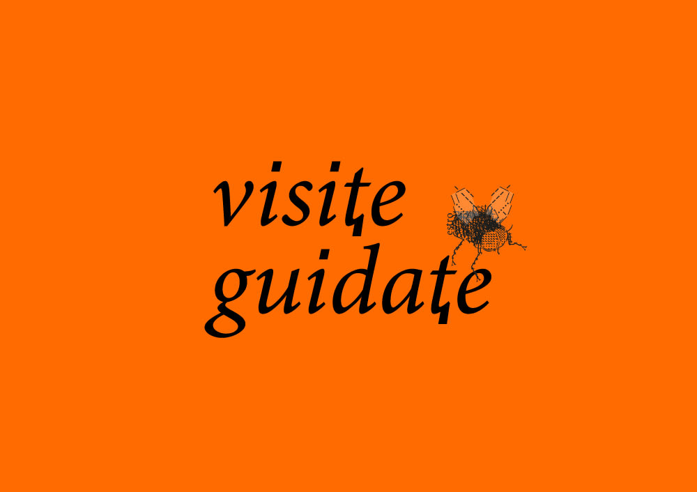 Biblioteca nazionale centrale di Firenze