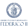 Università Federico II (Napoli)