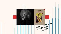 Una vita e altre notti