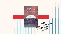 Emersioni sceniche. Teatro romeno contemporaneo