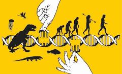 Evolution challenge - Sopravvivere alle sfide dell'evoluzione