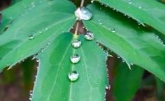 Un mondo di gocce e bolle - Alla scoperta di schiume, emulsioni e passeggiate sull'acqua