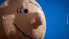 Merenda Selvaggia over 18 con Schultz