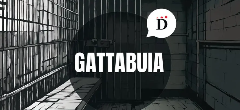 Presentazione del podcast "Gattabuia" di Isabella De Silvestro, in dialogo con Federica Delogu