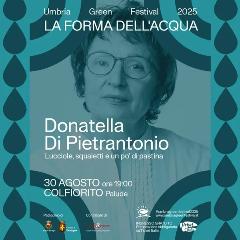 Lucciole, squaletti e un po’ di pastina