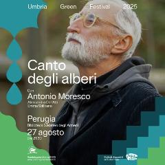 Antonio Moresco - Canto degli Alberi