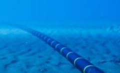 Connessioni abissali - Gli intrecci nascosti nelle profondità del mare