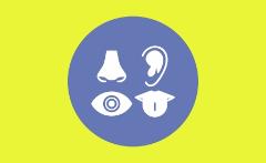 Dare un senso ai sensi - Il superpotere della multisensorialità