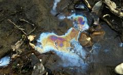 Il suolo sopra tutto - Un intreccio invisibile con la biodiversità