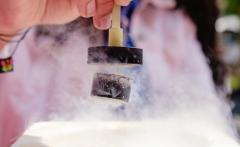 IRIS nel futuro della superconduttività - Studiare un fenomeno alla conquista del mondo