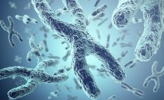 La vita in una goccia di sangue - Dallo screening neonatale alla terapia genica