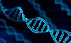 LIFEMap per medicina e prevenzione personalizzate - Ampliare l'ambito della ricerca clinica