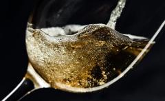 Non me la bevo - Il vino tra storia, salute e realtà scientifica