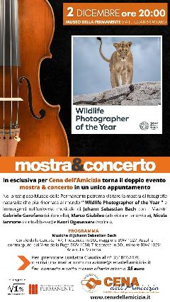mostra&concerto