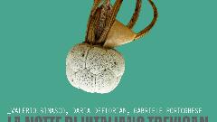 La notte di Vitaliano Trevisan